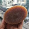 Cleansing Bar- Holy Grail Detox