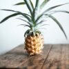Pineapple Sorbet: Polish & Oil Bundle
